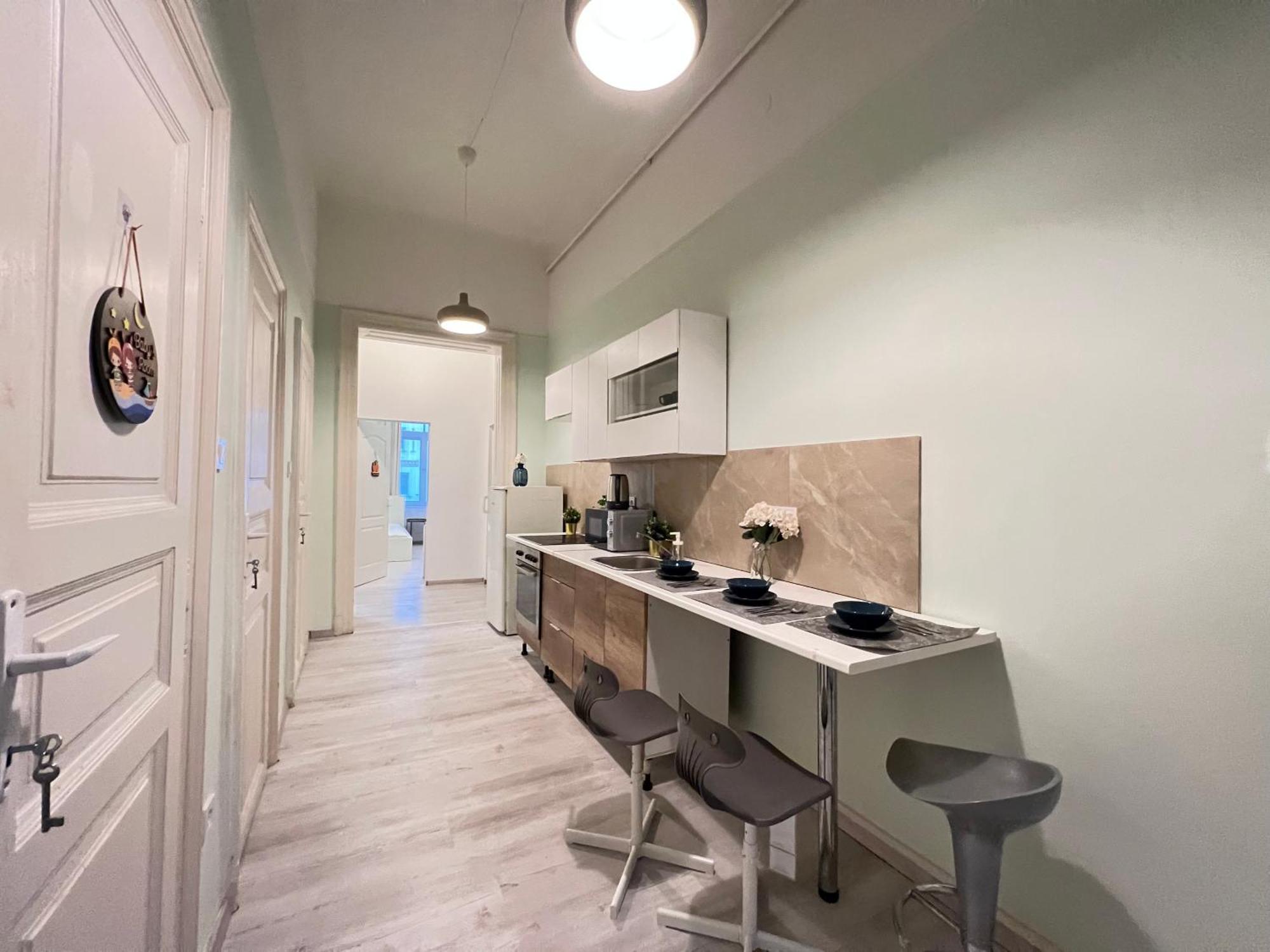 Baross Apartment With Convenience And Style Budapeszt Zewnętrze zdjęcie